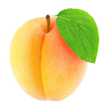 Ripe orange apricot with green leaf isolatedの写真素材
