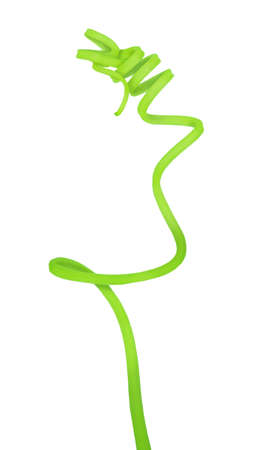 Cucumber creeping stem isolated on a white.の写真素材