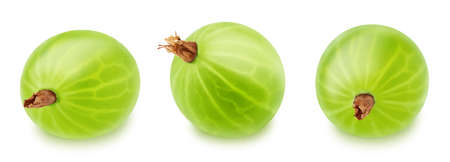 Set of gooseberries isolated on a white background.の写真素材