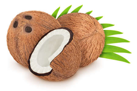 Group of coconuts with leaves isolated on white background. Composite image.の写真素材