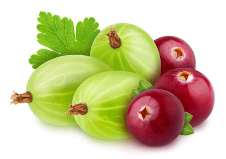 Colourful composition with berries mix of gooseberry and cranberry