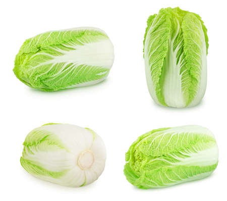 Set of fresh whole chinese cabbages isolated on a white background. Full depth of field.の写真素材