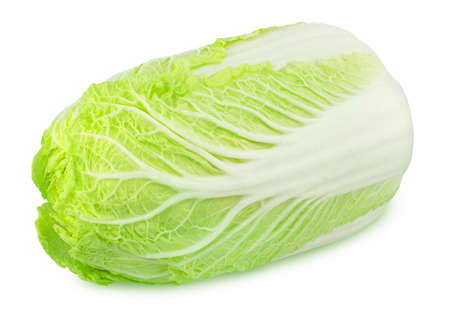 Fresh whole chinese cabbage isolated on a white background. Full depth of field.の写真素材