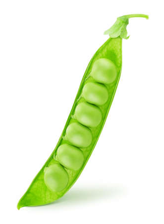 Closeup of green pea pod with beans isolated on a white background.の写真素材