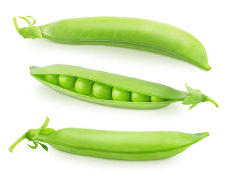 Set of whole and opened pea pods with beans isolated on a white background. Clip art image for package design.の写真素材