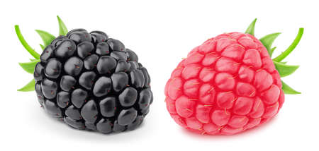 Colourful composition with forest berries mix - raspberry and blackberry, isolated on a white...