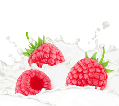 Raspberry in milk splashes isolated on white background.