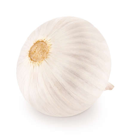 Whole fresh garlic isolated on white background.の写真素材