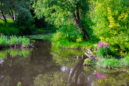 Beautiful spring landscape with a small river and green trees in the backgroundの写真素材