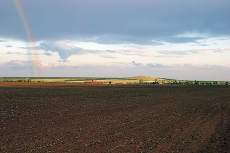 growth on field after rain with rainbow in skyの写真素材