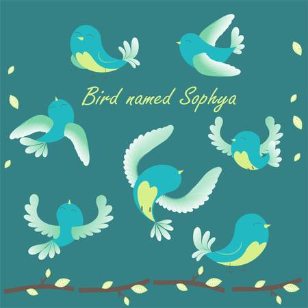 The bird named Sofia flying in different directions. Cartoon characters , can be used to design children's books or magazines .のイラスト素材