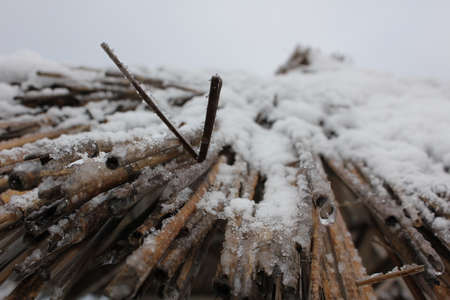 Thatched roof on a beach umbrella near the seaの写真素材