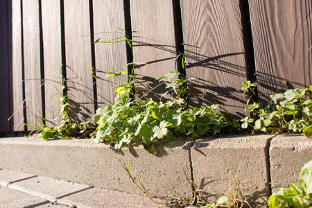 low wooden fence brown boards, backgrounds for illustrationsの写真素材