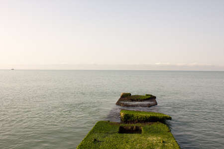 Thatched roof on a beach umbrella near the seaの写真素材