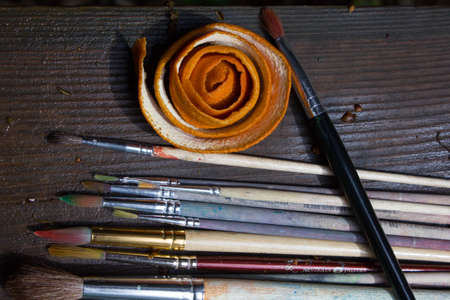 Dirt paint brush to paint lie in the sunの写真素材