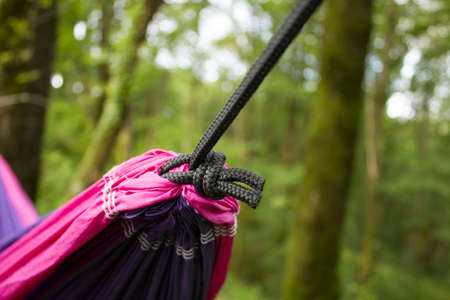 soft hammock on trees in forest summerの写真素材