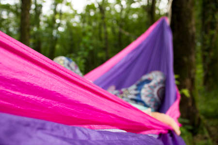 soft hammock on trees in forest summerの素材 [FY31060835448]