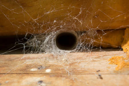 spider's nest in a wooden house in the afternoonの写真素材