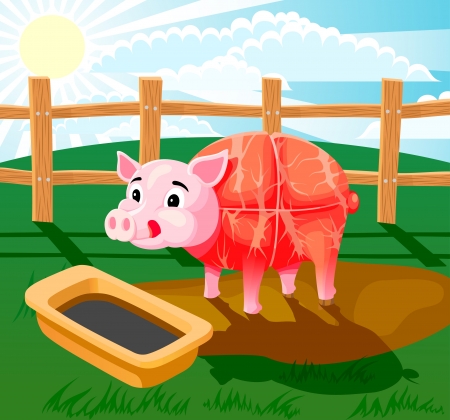 A piglet standing in the mud and drinking from trough  Picture has layers to easy editのイラスト素材