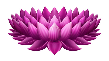 Isolated  pink lotus, EPS 10 contains transparencyのイラスト素材