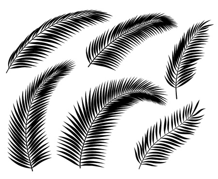 Set of black silhouettes of palm leafs and branches, isolated on white.のイラスト素材