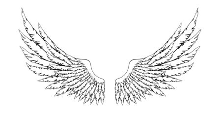 Black and white hand-drawn wings of angel or archangel, element of insignia or coat of arms. EPS 8.のイラスト素材