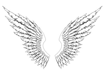Black and white hand-drawn wings of angel or archangel, element of insignia or coat of arms. EPS 8.のイラスト素材