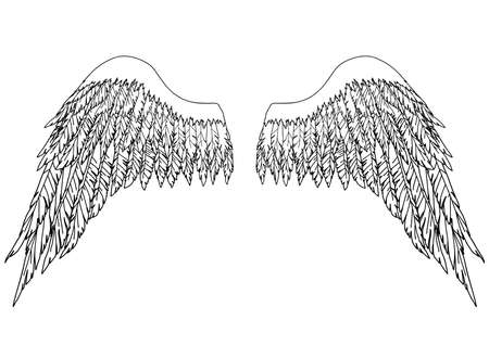 Black and white hand-drawn wings of angel or archangel, element of insignia or coat of arms. EPS 8.のイラスト素材
