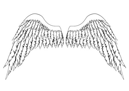 Black and white hand-drawn wings of angel or archangel, element of insignia or coat of arms. EPS 8.のイラスト素材