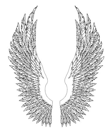 Black and white hand-drawn wings of angel or archangel, element of insignia or coat of arms. EPS 8.のイラスト素材