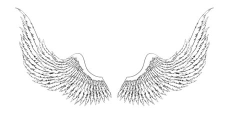 Black and white hand-drawn wings of angel or archangel, element of insignia or coat of arms. EPS 8.のイラスト素材