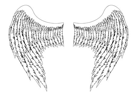 Black and white hand-drawn wings of angel or archangel, element of insignia or coat of arms. EPS 8.のイラスト素材