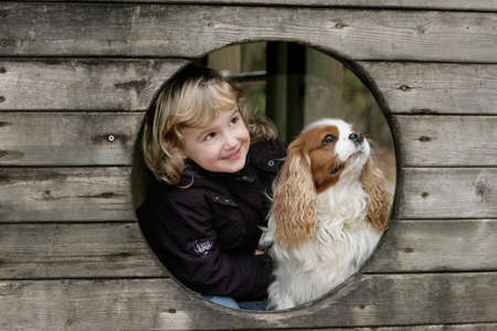 little girl with spaniel dogの写真素材