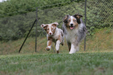 footraceの写真素材