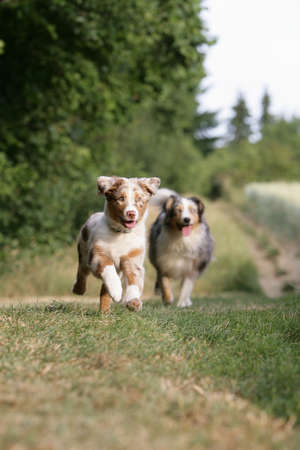 footraceの写真素材