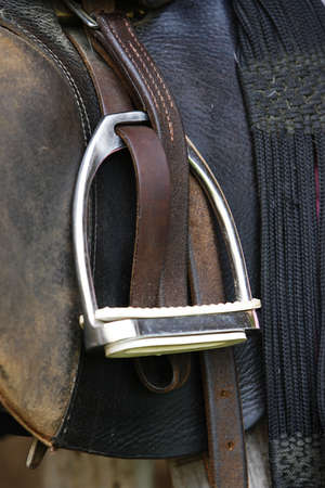 stapes - close-up of the detail of a saddled horseの写真素材