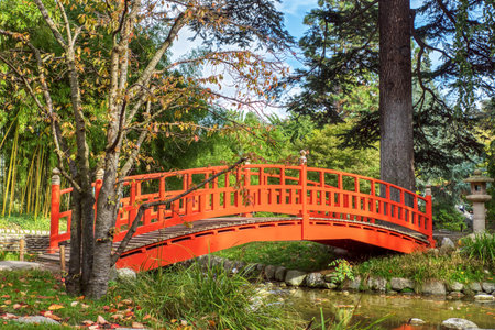 Boulogne-Billancourt, France - October 18 2019: Beautiful Japanese wooden bridge in Albert Kahn Park in autumn - Boulogne-Billancourt near Paris, Franceのeditorial素材