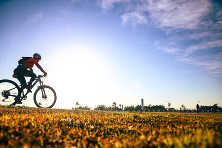 Silhouette of a cyclist riding a bicycle in the park.の写真素材