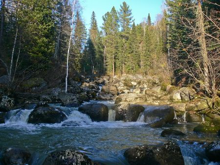 Flow and stones covered a moss in river Yurtock. Autumn in taiga.の写真素材