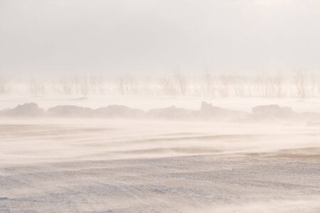 A bad weather on road. Blizzard and snowstorm.の写真素材