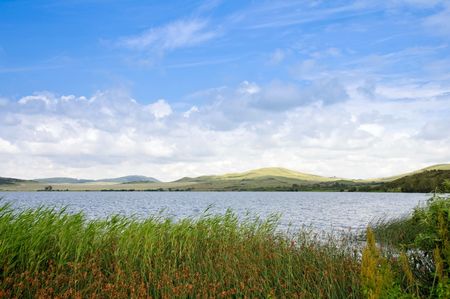 Cane on coast of beauty lake. Blue sky with clouds.の写真素材