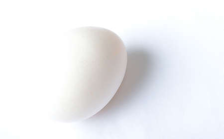 Bright white egg on a white backgroundの写真素材