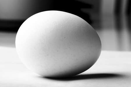 Black and white contour egg with shadowの写真素材