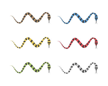 Snake symbol illustration vector iconの写真素材