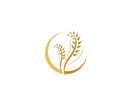 Wheat vector icon illustration designのイラスト素材