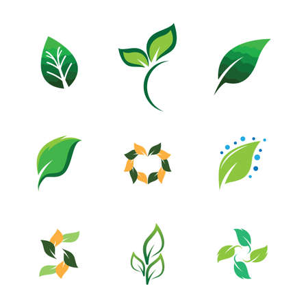 Leaf symbol vector icon illustrationのイラスト素材