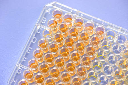 Biochemical assay