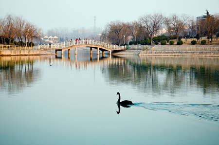 Bridge and lakeのeditorial素材