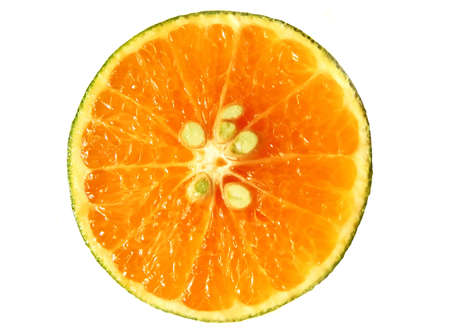 orangeの写真素材