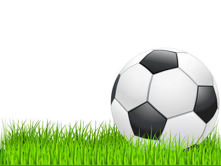 soccer ball on green grassのイラスト素材